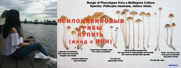 прущая мука Зарайск