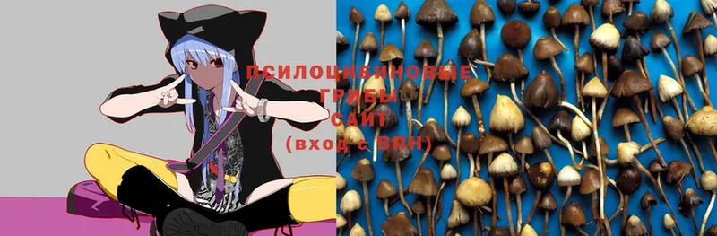 Псилоцибиновые грибы MAGIC MUSHROOMS  Енисейск 